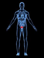 urology billing