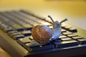 snail-3901655__340